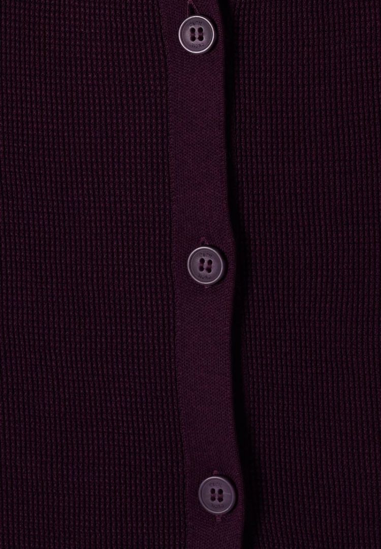  16855 eggplant
